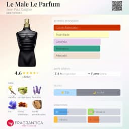 Le Male Le Parfum vista 3