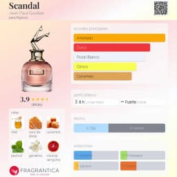Scandal EDP vista 2