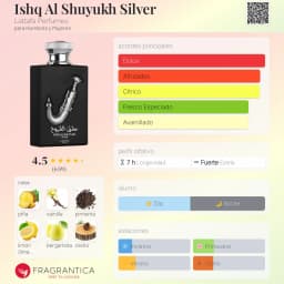 Ishq Al Shuyukh Silver vista 3